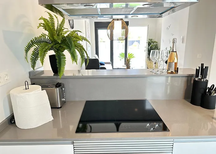 Lagarto - El Verger דניה